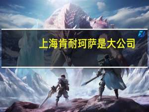 上海肯耐珂萨是大公司（沈健-上海肯耐珂萨人力资源科技股份有限公司CEO介绍）