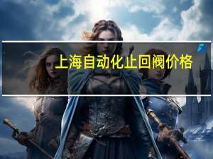 上海自动化止回阀价格