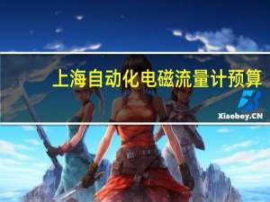 上海自动化电磁流量计预算