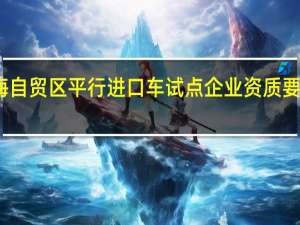 上海自贸区平行进口车试点企业资质要求是什么