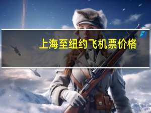 上海至纽约飞机票价格