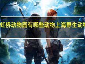 上海虹桥动物园有哪些动物 上海野生动物园熊吃人