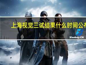 上海视觉三试结果什么时间公布