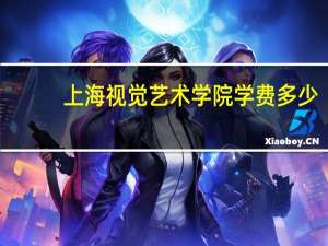 上海视觉艺术学院学费多少