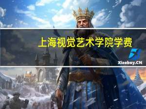 上海视觉艺术学院学费