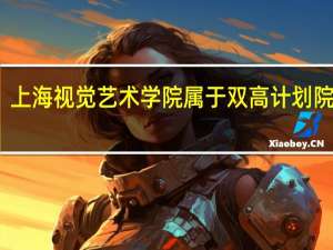 上海视觉艺术学院属于双高计划院校吗