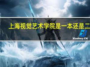 上海视觉艺术学院是一本还是二本