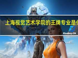 上海视觉艺术学院的王牌专业是什么