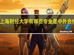 上海财经大学有哪些专业是中外合作专业