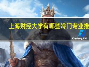 上海财经大学有哪些冷门专业推荐