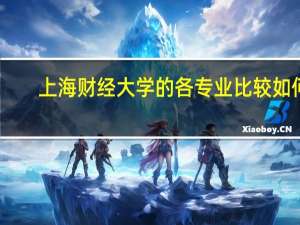 上海财经大学的各专业比较如何