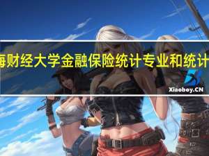 上海财经大学金融保险统计专业和统计专业比较,哪个专业好