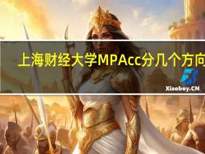 上海财经大学MPAcc分几个方向呢