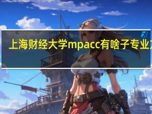上海财经大学mpacc有啥子专业方向