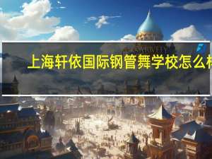 上海轩依国际钢管舞学校怎么样