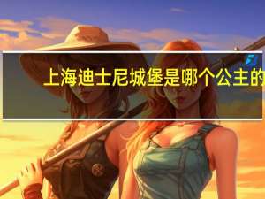 上海迪士尼城堡是哪个公主的