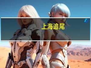 上海追尾（关于上海追尾的介绍）