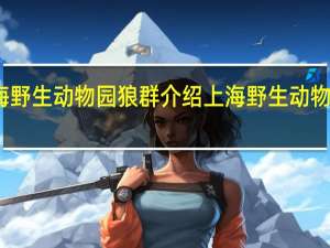 上海野生动物园狼群介绍 上海野生动物园熊吃人