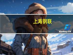 上海钢联：公司作为数商企业未来数据资产入表也会给相关企业报表带来好的变化