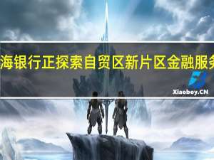 上海银行正探索自贸区新片区金融服务新模式