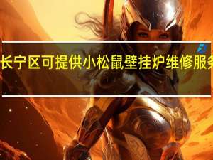 上海长宁区可提供小松鼠壁挂炉维修服务地址在哪