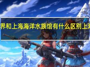 上海长风海洋世界和上海海洋水族馆有什么区别 上海长风海洋世界好玩吗