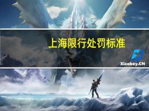上海限行处罚标准