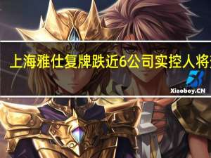 上海雅仕复牌跌近6%公司实控人将变更