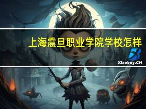 上海震旦职业学院学校怎样