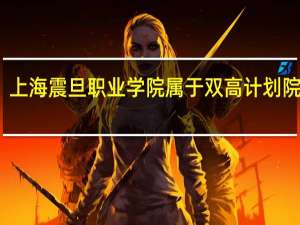 上海震旦职业学院属于双高计划院校吗