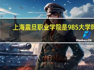 上海震旦职业学院是985大学吗