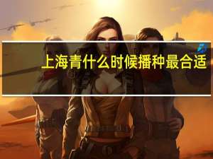 上海青什么时候播种最合适