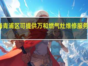 上海青浦区可提供万和燃气灶维修服务地址在哪
