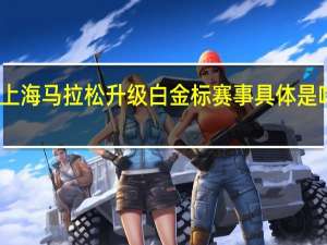 上海马拉松升级白金标赛事 具体是啥情况