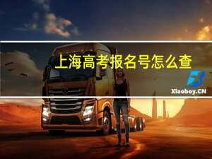 上海高考报名号怎么查