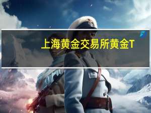 上海黄金交易所黄金T+D 10月12日（周四）晚盘盘初暂无成交；上海黄金交易所白银T+D 10月12日（周四）晚盘盘初上涨0.44%报5684.0元/千克