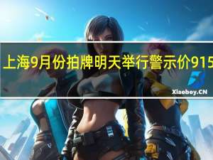 上海9月份拍牌明天举行 警示价91500元
