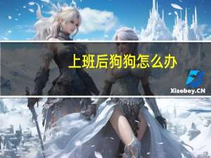 上班后狗狗怎么办