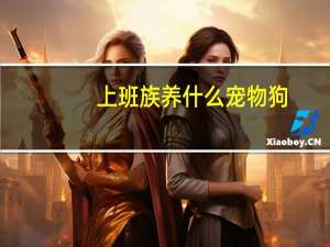 上班族养什么宠物狗