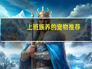 上班族养的宠物推荐