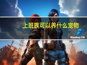 上班族可以养什么宠物
