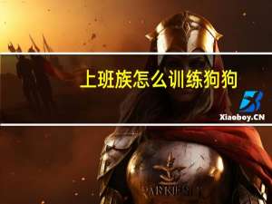 上班族怎么训练狗狗