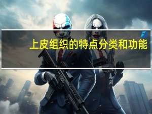 上皮组织的特点分类和功能