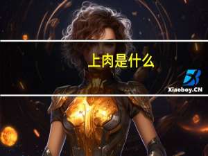上肉是什么