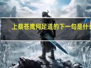 上蔡苍鹰何足道的下一句是什么