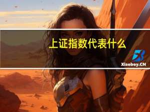 上证指数代表什么