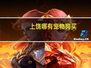 上饶哪有宠物狗买
