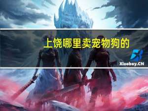 上饶哪里卖宠物狗的