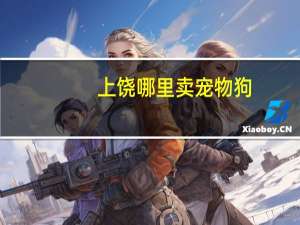 上饶哪里卖宠物狗