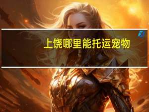 上饶哪里能托运宠物